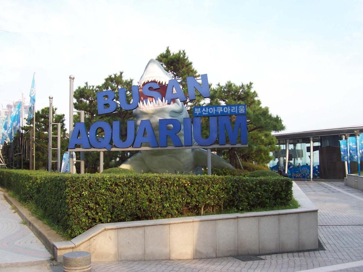 Haeundae Luxury House Apartman Puszan Kültér fotó